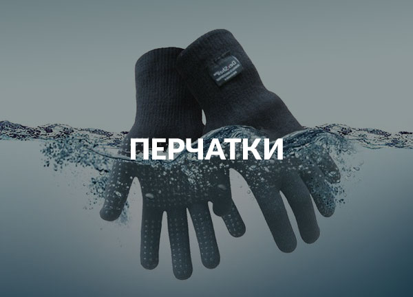 DEXSHELL - Официальный Сайт DEXSHELL в России.